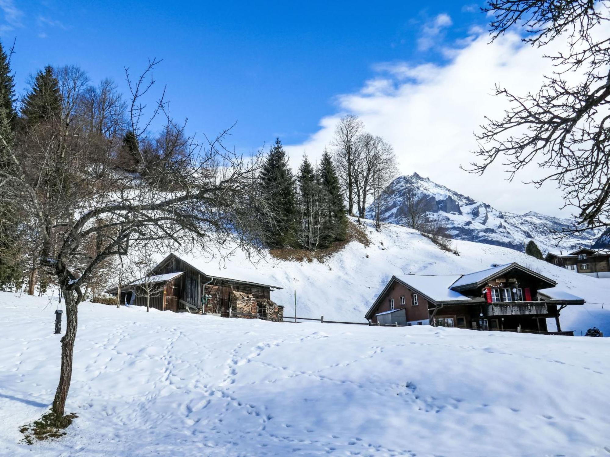 Apartment Chalet Schwendihus-6 By Interhome Гріндельвальд Екстер'єр фото